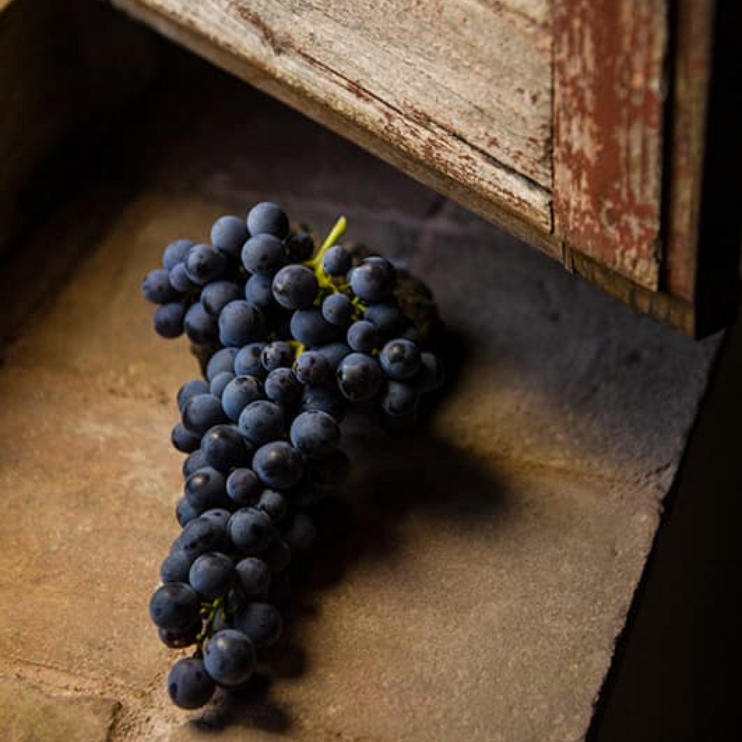 Etna Wine Dining Experience, by The Tasting Kitchen