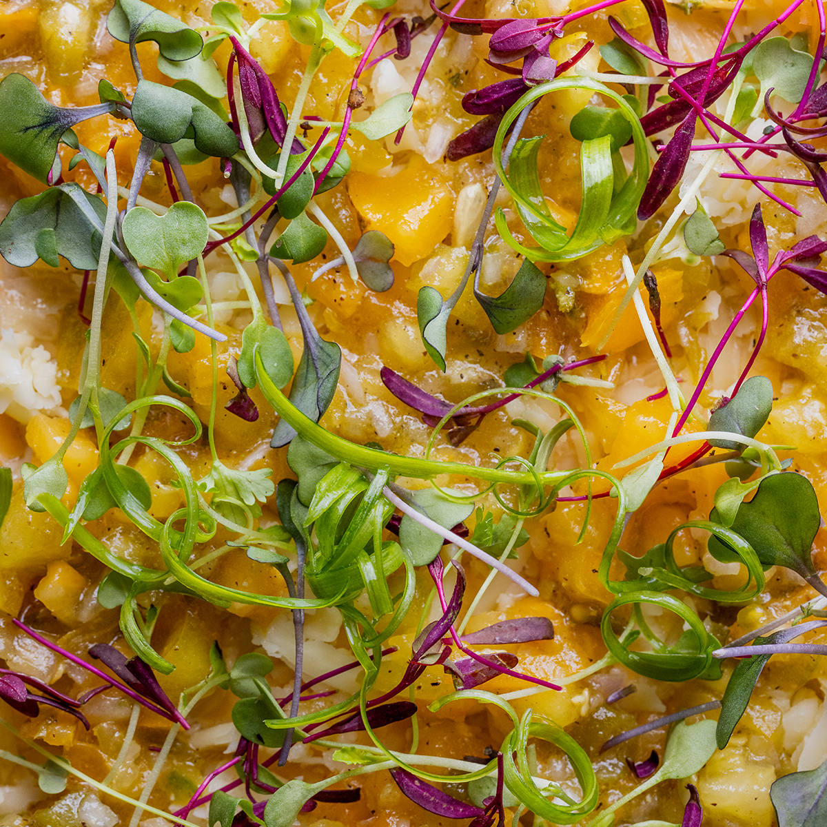 Big Game BBQ 7 Layer Dip by Burt Bakman of SLAB