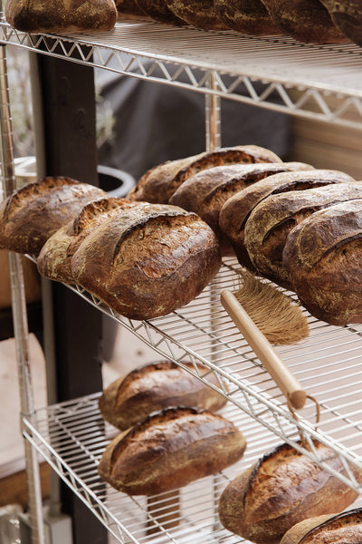 Standing Room: Melrose Hill’s Two Rose Bread Preview