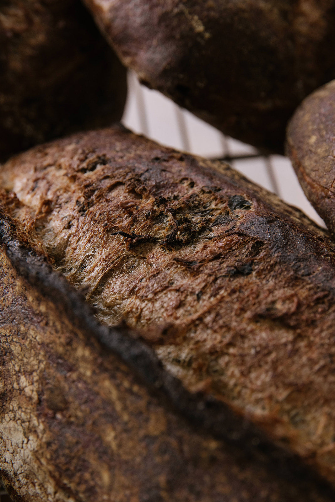 Standing Room: Melrose Hill’s Two Rose Bread Preview