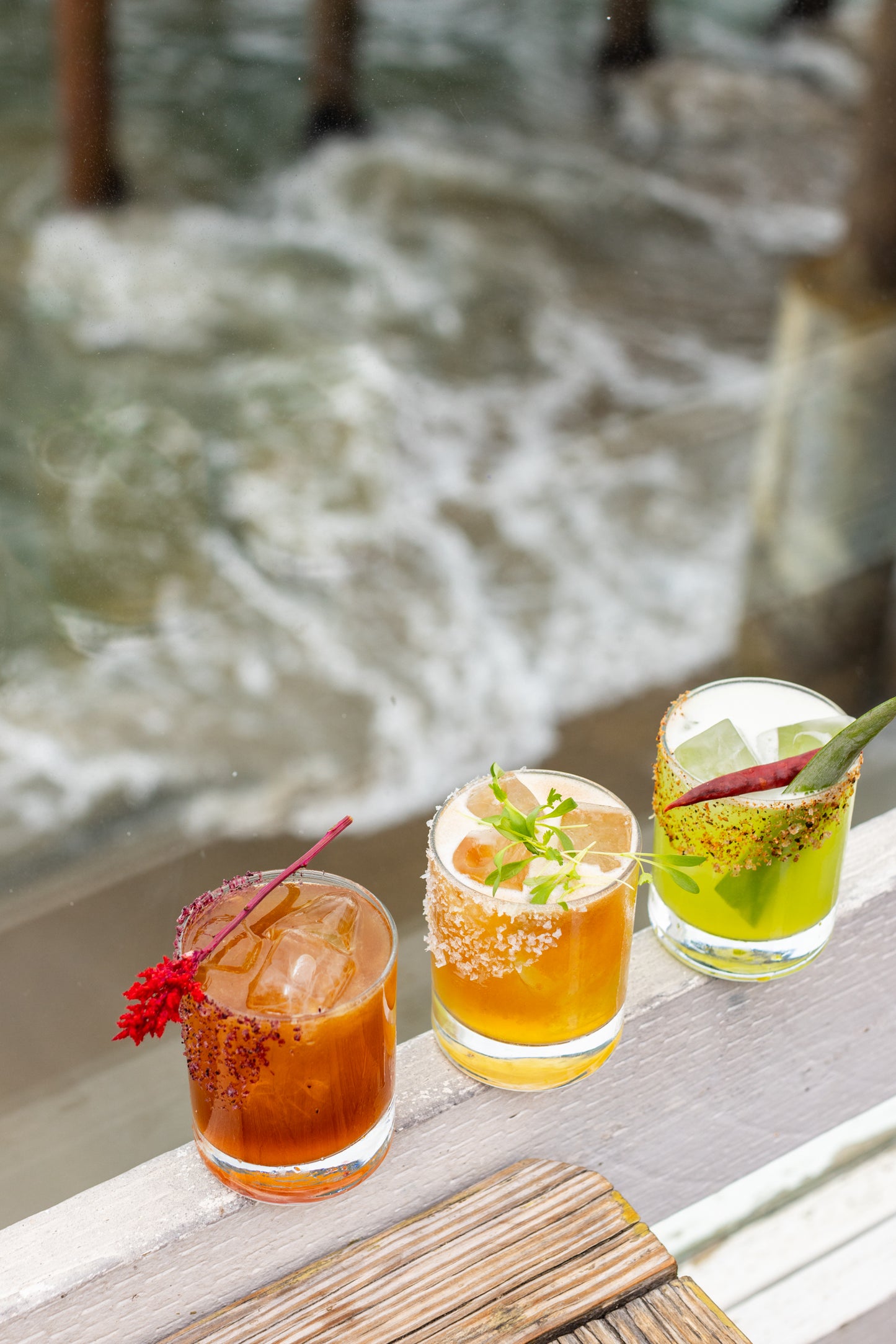 Deep Dive into Sustainable Seafood: A Seaside Soiree with Malibu Farm and E-Fish
