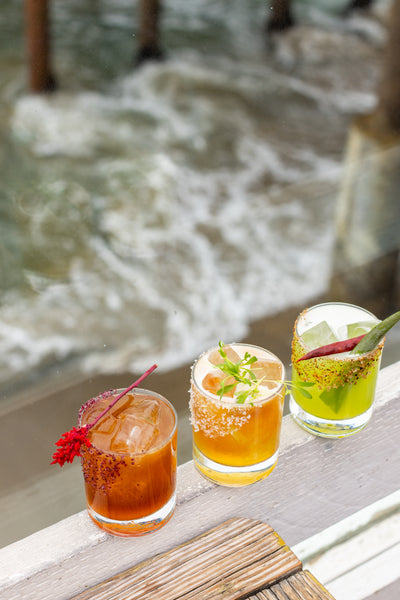 Deep Dive into Sustainable Seafood: A Seaside Soiree with Malibu Farm and E-Fish