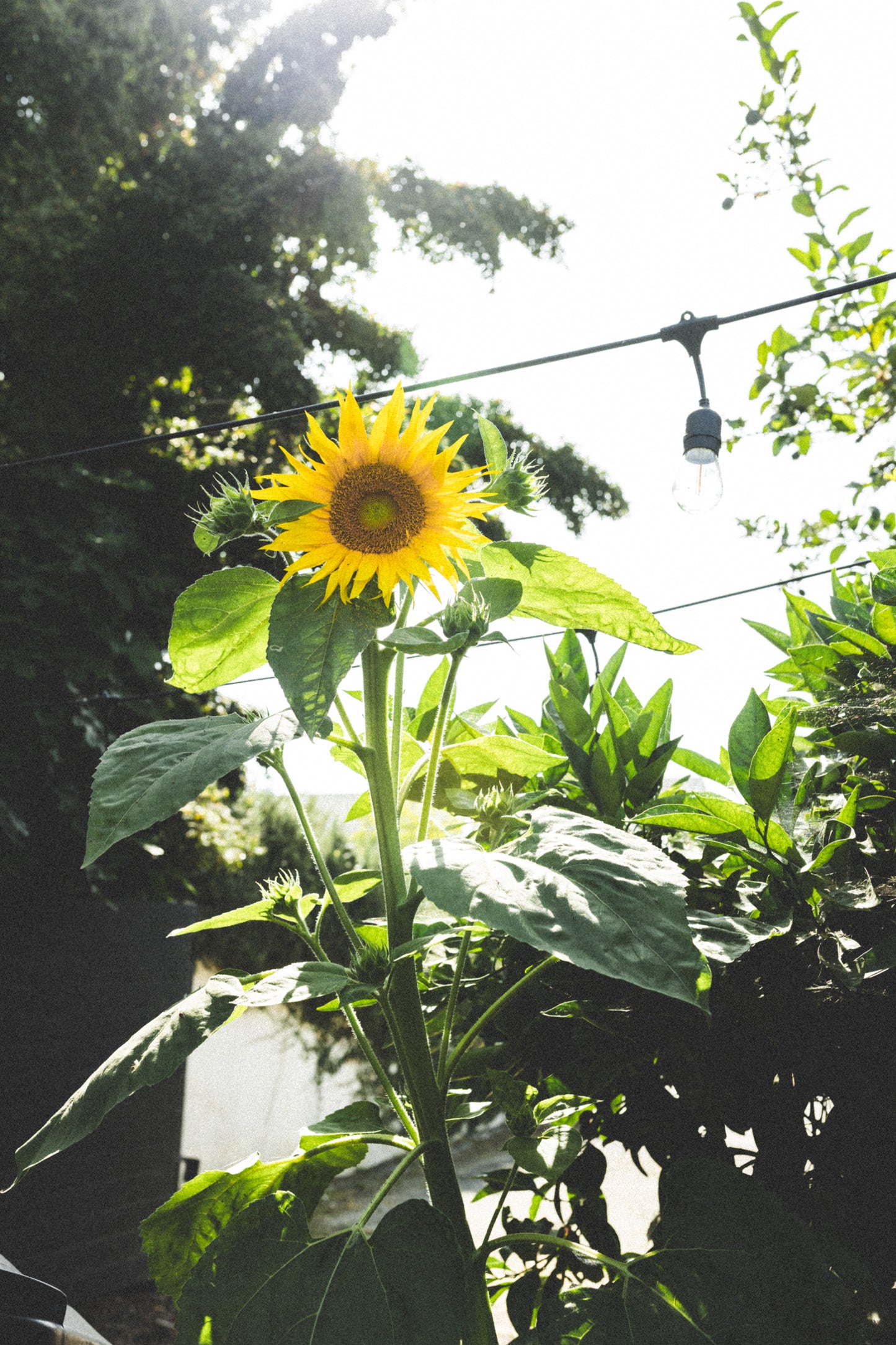 Spring Equinox Brunch with Chefs Taren & Vilda