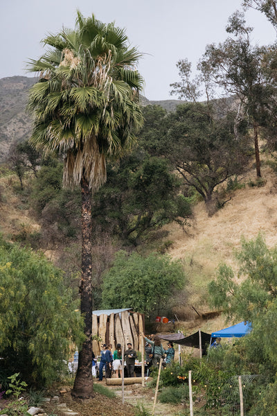 THE HOCK & MYER PIG ROAST AT TWENTIETH ST. GARDEN