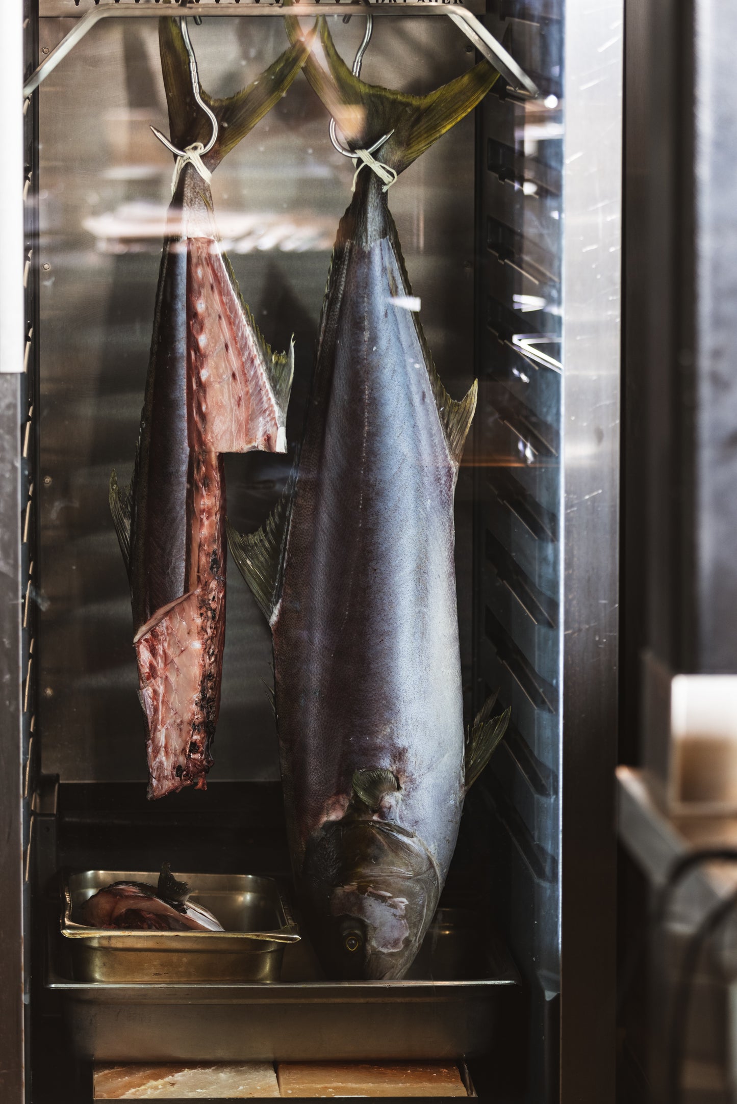 Harvester's Table at YESS: A Delicious Step Towards Transforming LA's Seafood Supply Chain