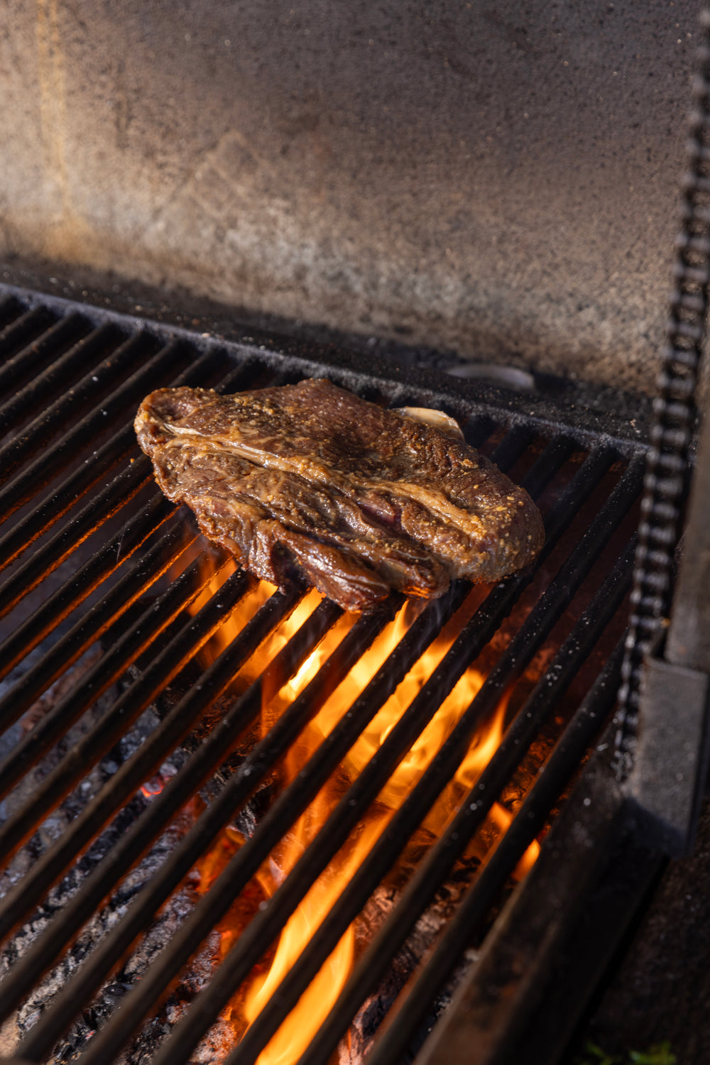 Live Fire 626: A Backyard Barrio Experience with Campo é Carbón
