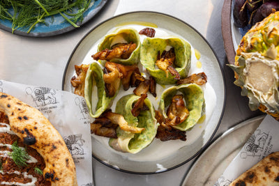 EL GATO NEGRO: AN R&D HOUSE PARTY