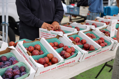 STONE FRUIT SZN: An Edible Summerscape with RAW on Romaine