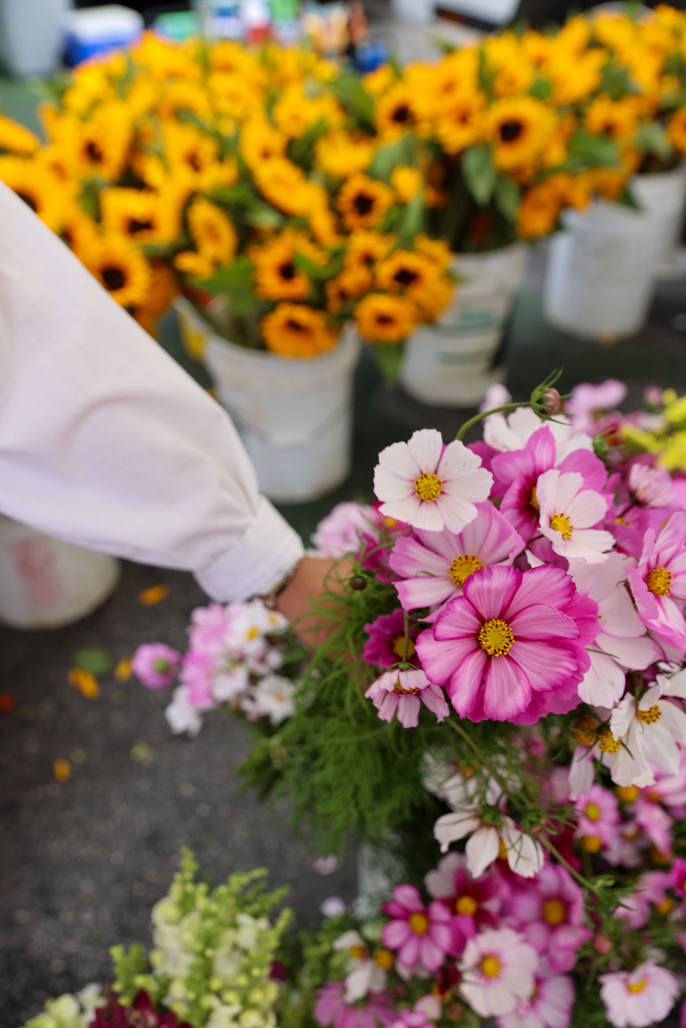 STONE FRUIT SZN: An Edible Summerscape with RAW on Romaine