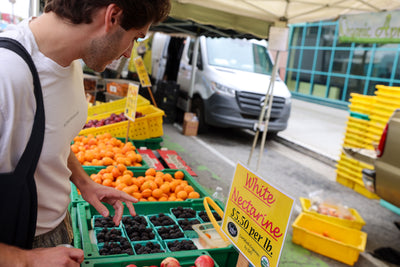 STONE FRUIT SZN: An Edible Summerscape with RAW on Romaine