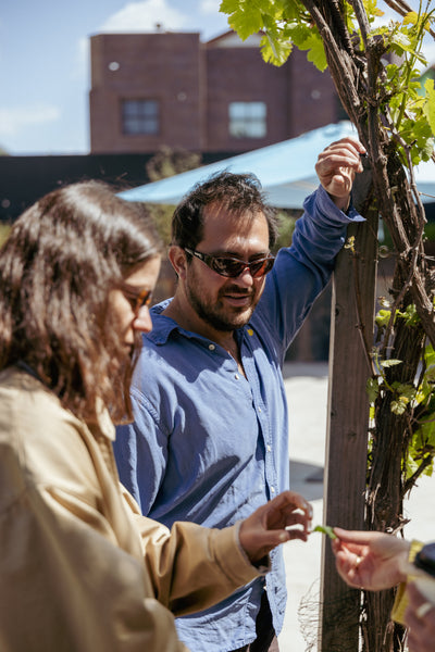 Salad (Bar) Forever: The Return of the Salad Bar with Chef Balo and The Angel at Little City Farm