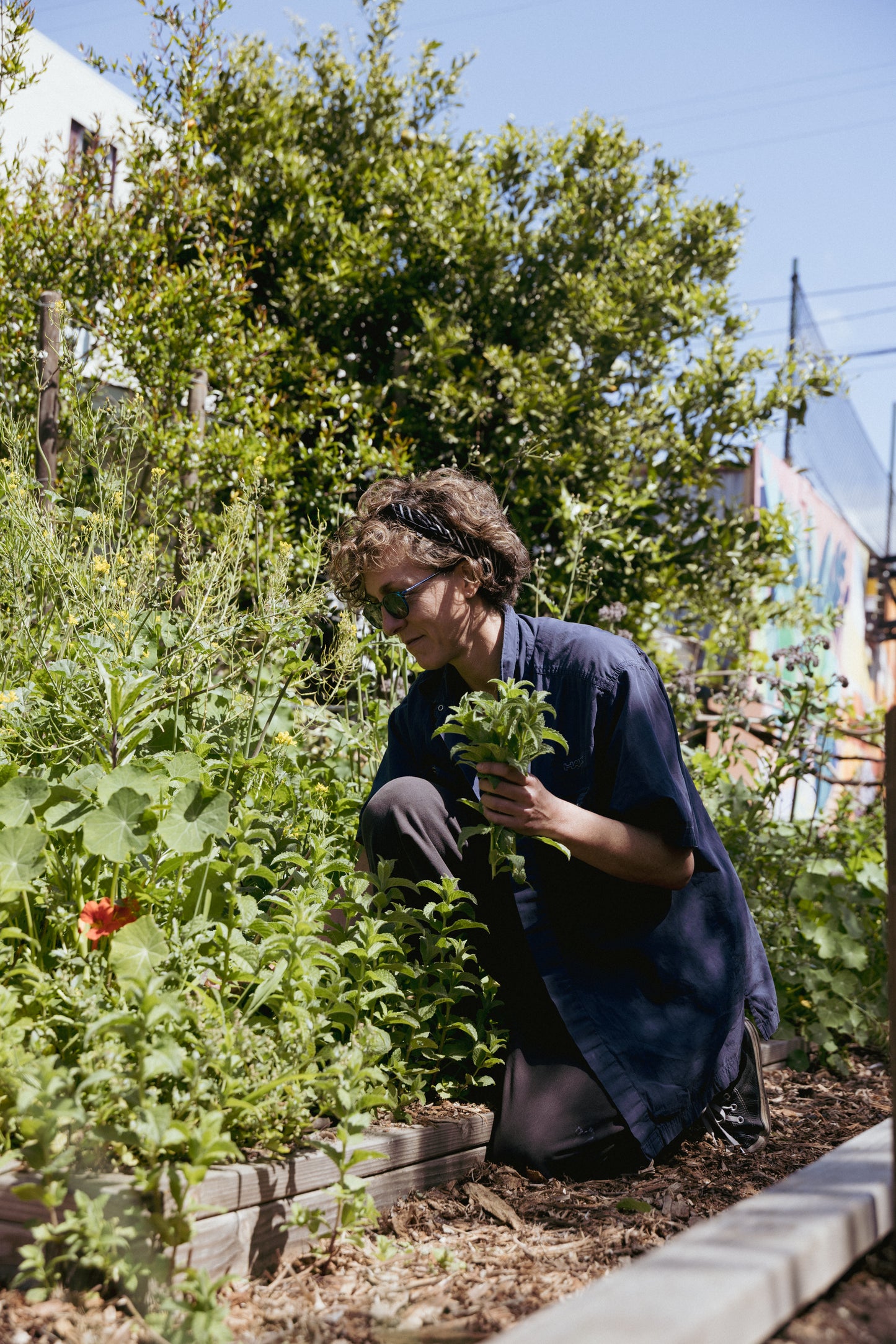 Salad (Bar) Forever: The Return of the Salad Bar with Chef Balo and The Angel at Little City Farm