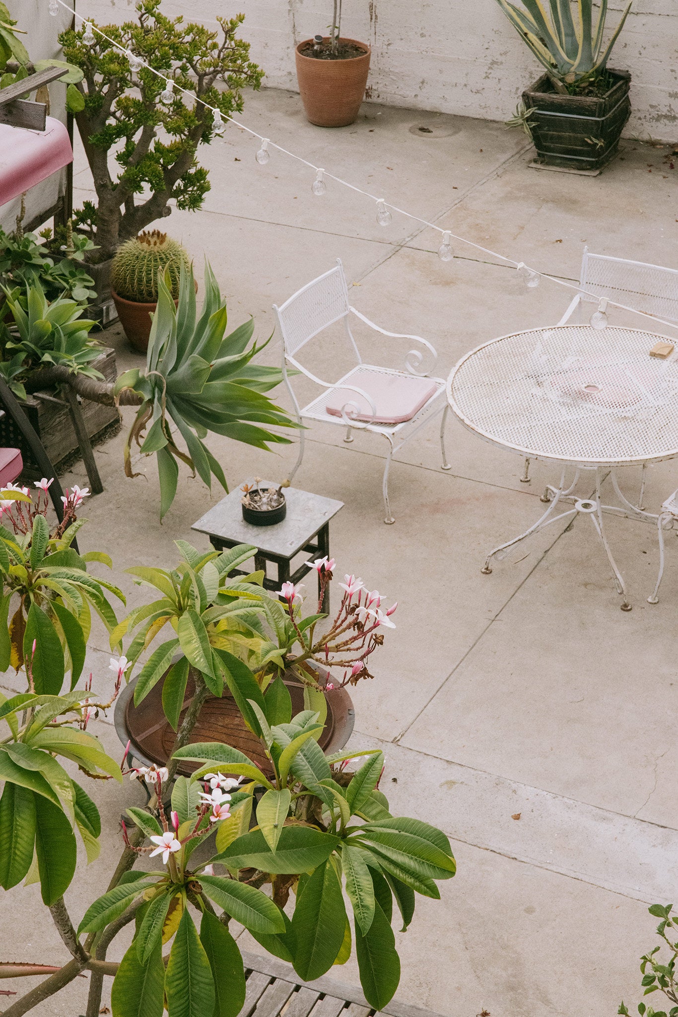 Quanto Basta: Echo Park’s Hidden Italian Farm-to-Table
