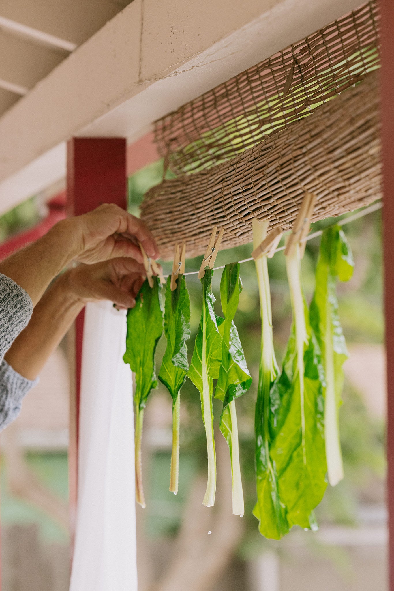 Quanto Basta: Echo Park’s Hidden Italian Farm-to-Table