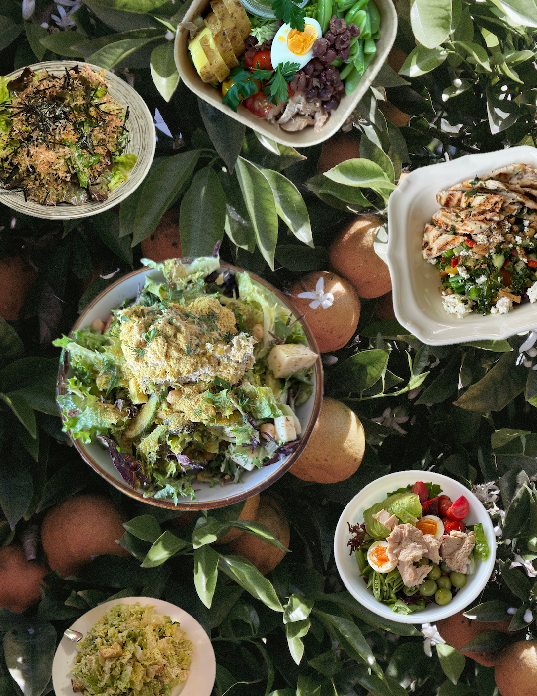 Salad (Bar) Forever: The Return of the Salad Bar with Chef Balo and The Angel at Little City Farm