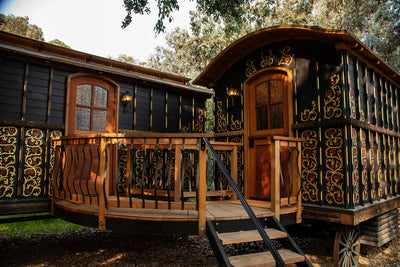 A Moonlit Mushroom Feast at a Private Estate in the Santa Monica Mountains