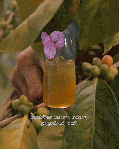 Alto Cafe: A Food & Drink Exhibition