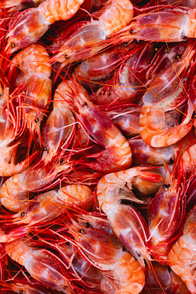 The Lonely Oyster x Bé Ù: A Viet-Cajun Seafood Feast