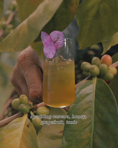 Alto Cafe: A Food & Drink Exhibition