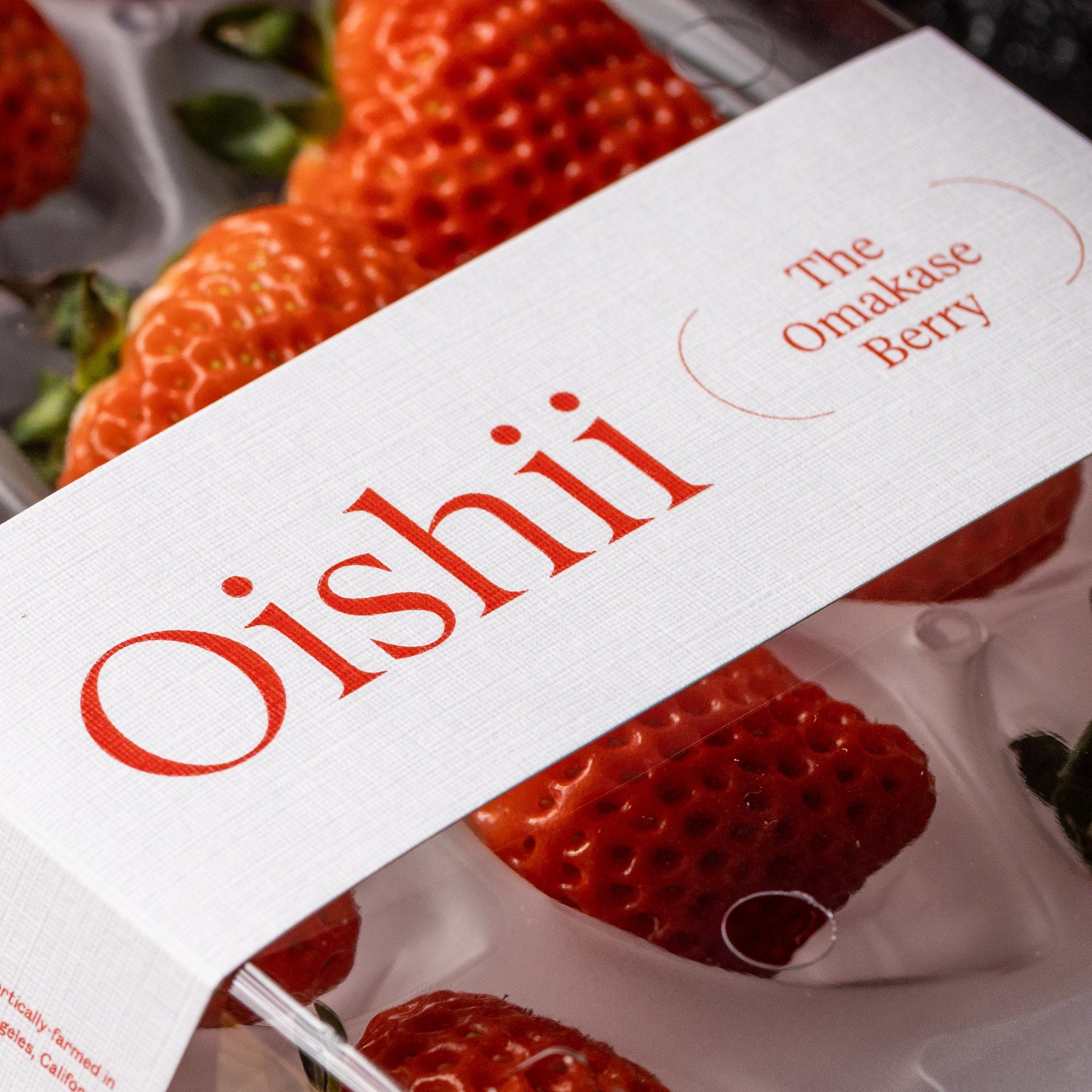 TYSM X Oishii: Omakase Berry Valentine's Day Arrangement