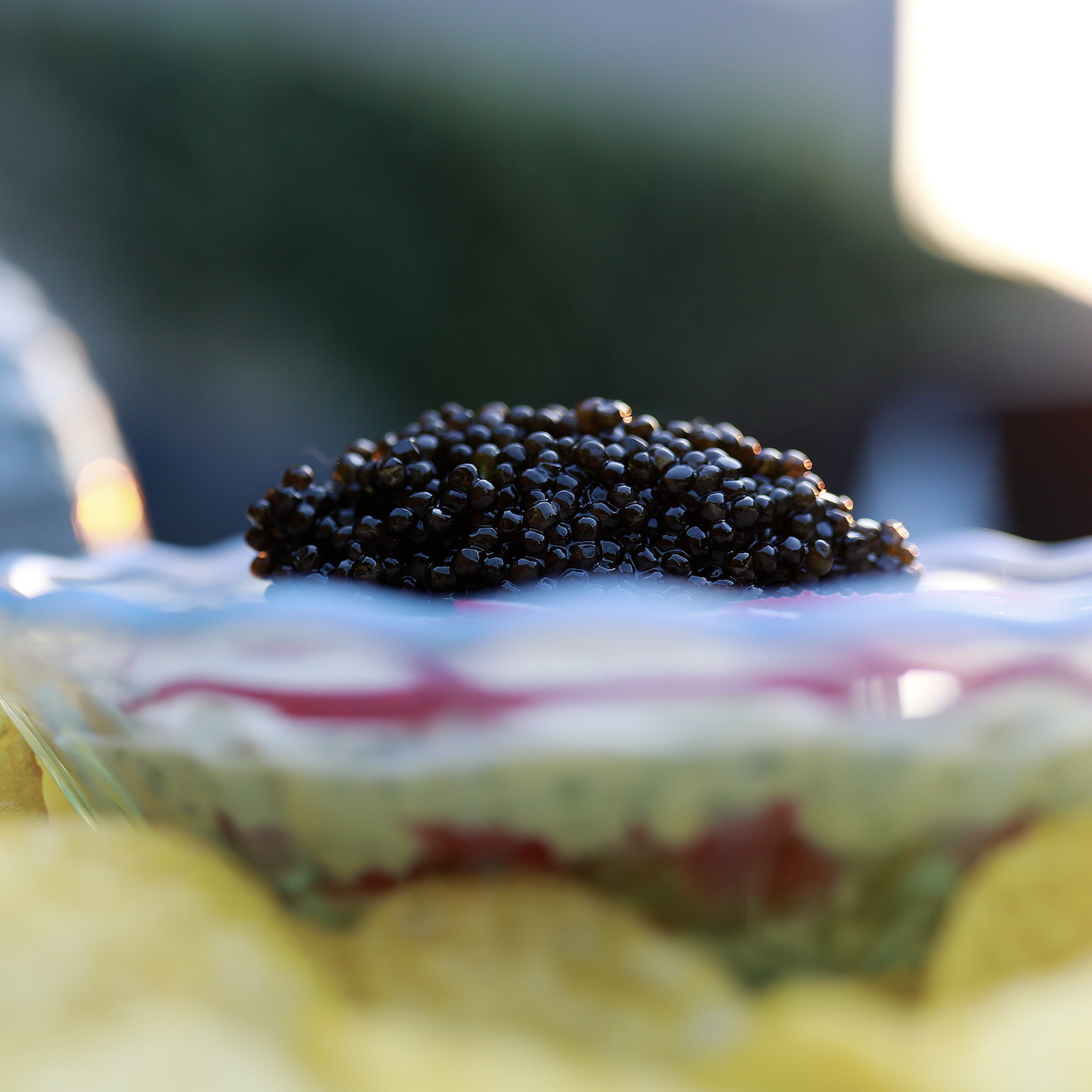 Little Fish Multi-Course Tasting Menu with Beverage Pairing by Kae Whalen