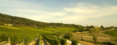 LA MESMA + OLEK BONDONIO WINE DINNER at THE TASTING KITCHEN