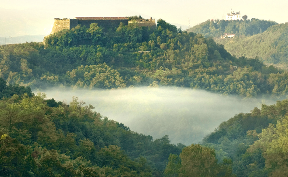 LA MESMA + OLEK BONDONIO WINE DINNER at THE TASTING KITCHEN