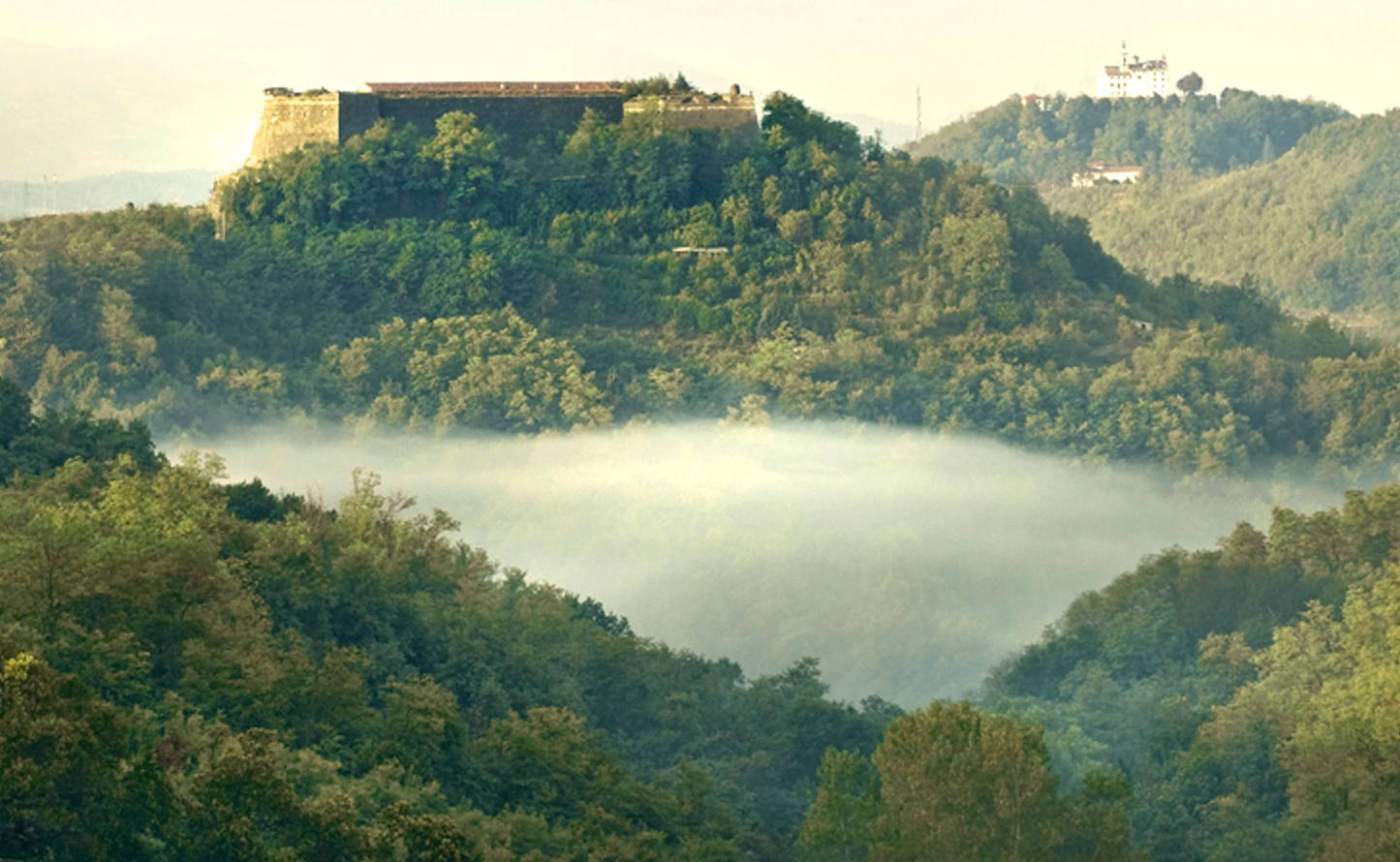 LA MESMA + OLEK BONDONIO WINE DINNER at THE TASTING KITCHEN