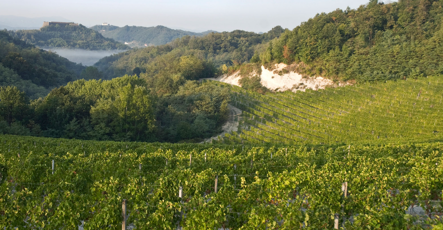 LA MESMA + OLEK BONDONIO WINE DINNER at THE TASTING KITCHEN