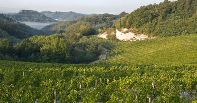 LA MESMA + OLEK BONDONIO WINE DINNER at THE TASTING KITCHEN