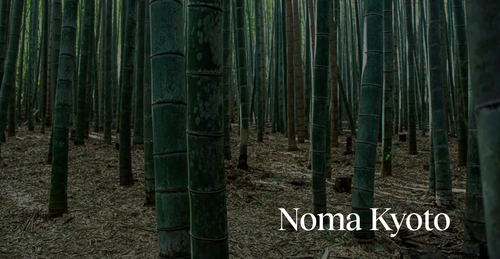 Noma Kyoto Private Dining Experience