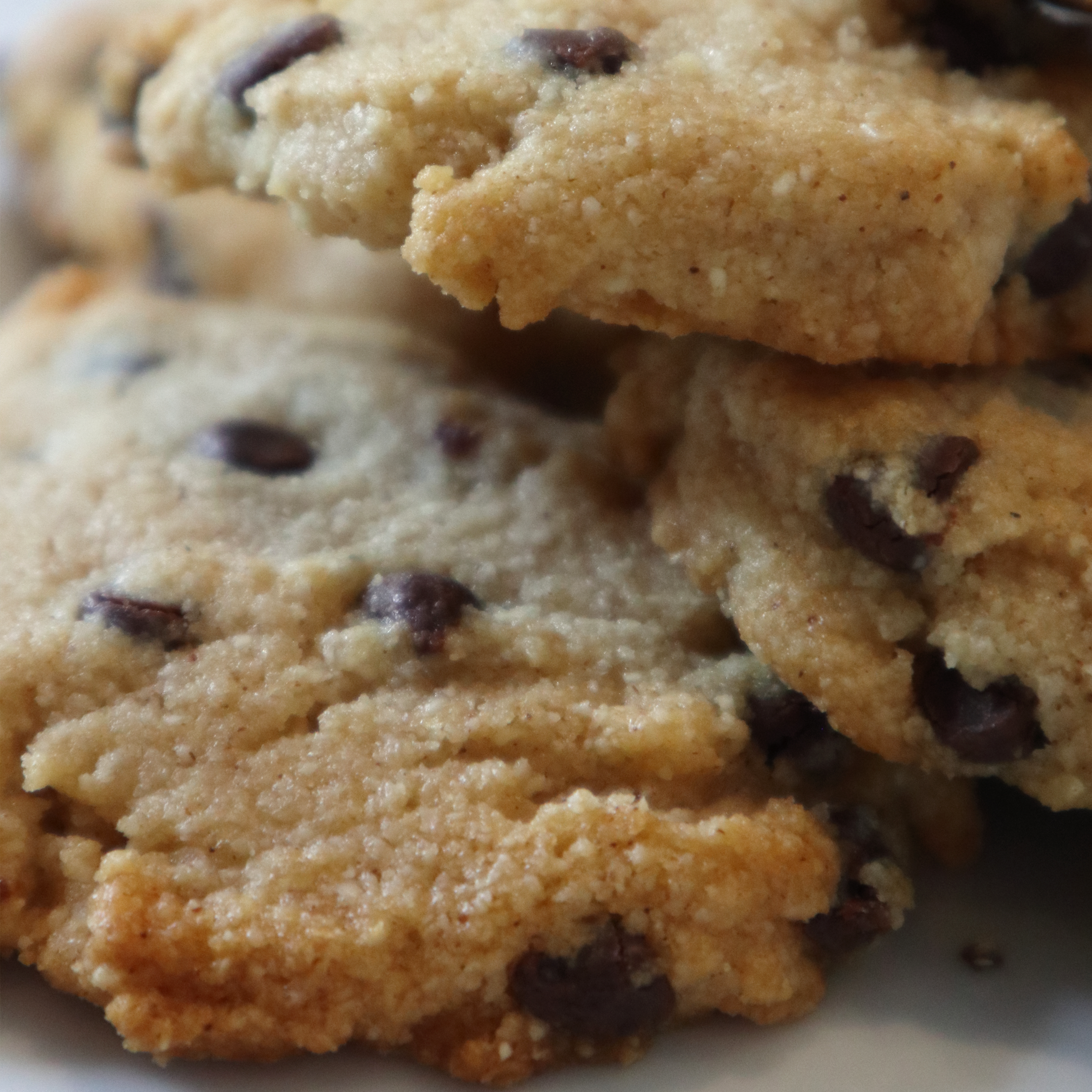 Grain-Free Chewy Chocolate Chip Cookies