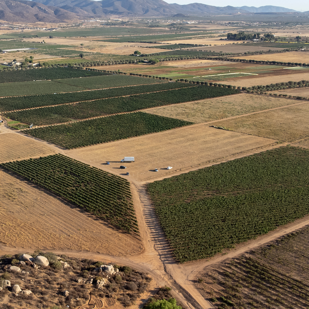 The Baja Experience at The Tasting Kitchen