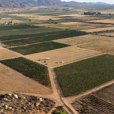 The Baja Experience at The Tasting Kitchen