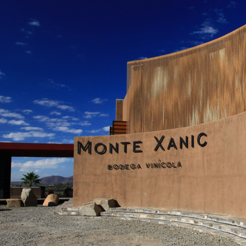 The Baja Experience at The Tasting Kitchen