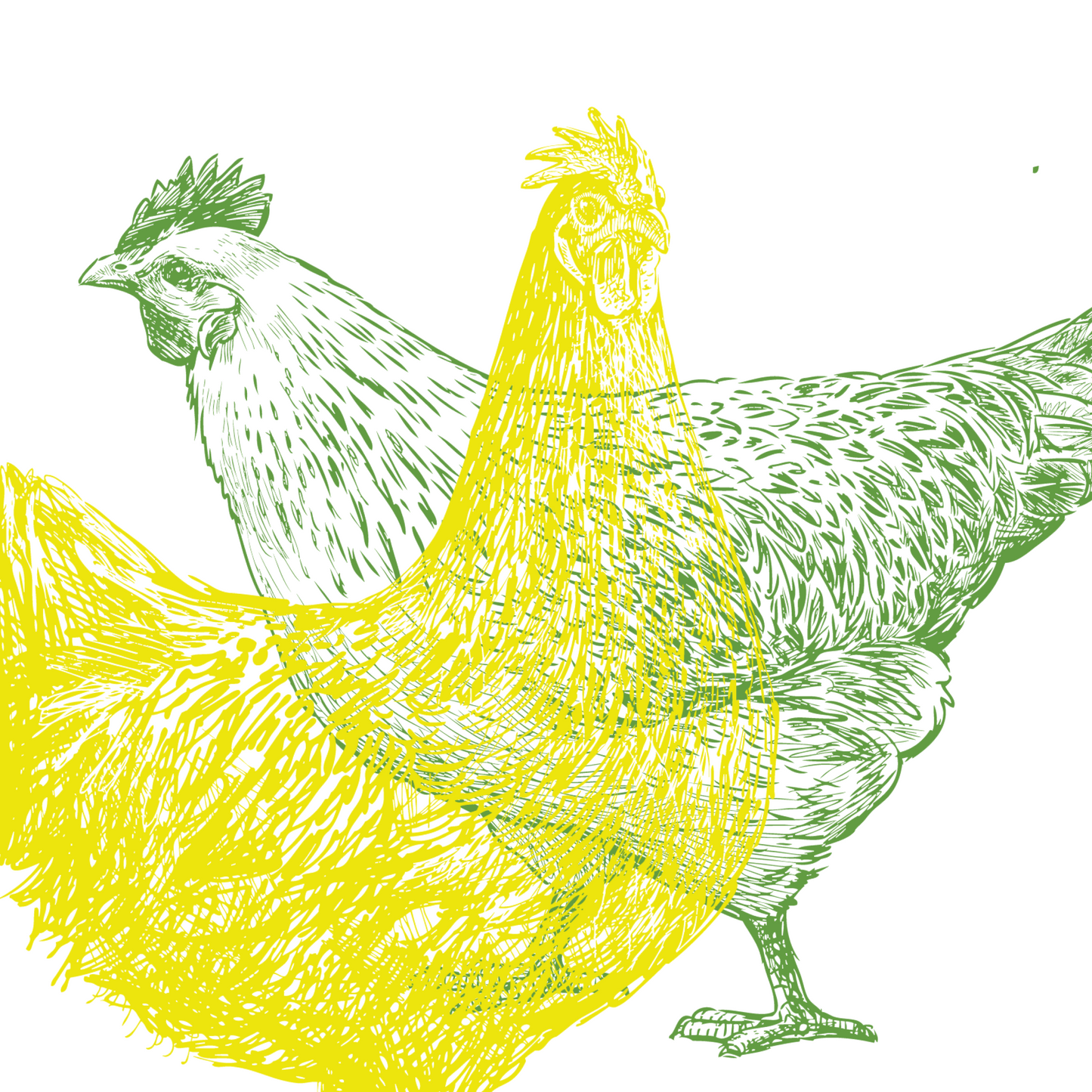 Biite Presents: A Taste Of Brazil, by Alex Atala X Rodrigo Oliveira X Victor Vasconcellos